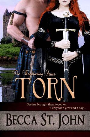 [The Handfasting 01] • Torn